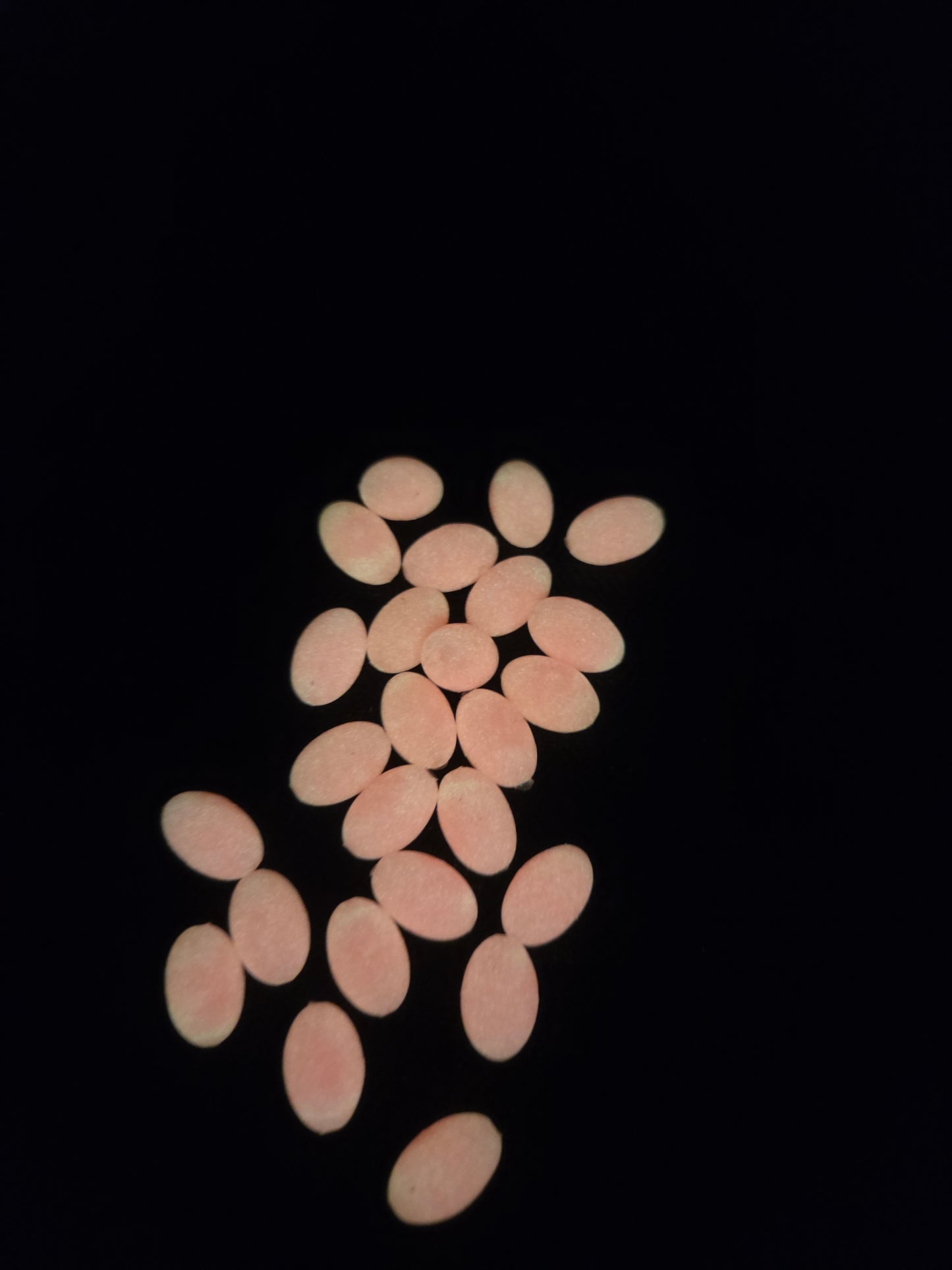 Pink Rubber Bead